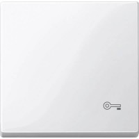 Клавіша з піктограмою «ключ» Merten System M. Колір Полярно-Білий MTN3303-0319 