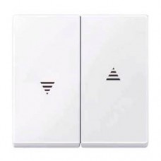 Двойная клавиша для клавишного и кнопочного выключателя рольставней Merten System M.  Активный белый MTN432425 