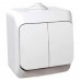 WDE000550 Двухклавишный наружный выключатель 16A IP44 серии Cedar Plus. Цвет Белый