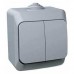 WDE000650 Двухклавишный наружный выключатель 16A IP44 серии Cedar Plus. Цвет Серый