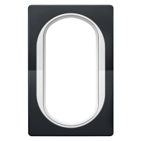 Рамка под двойную розетку E604 Aling Conel серии EON.  "Мягкий черный" с белой вставкой (E6805.E10)