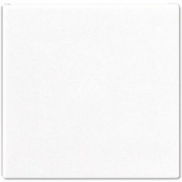 клавішу одинарну Jung ECO profi. Колір: Білий