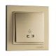 ⚡Кнопка для света с подсветкой серии Despina (Mono Electric). Цвет Титан